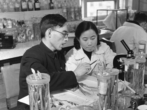 Il Nobel per la Medicina: "Ho abbandonato mia figlia in un orfanotrofio per studiare la malaria"