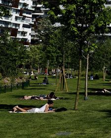 Temperature bollenti a Milano. Si prende il sole ai giardini di Citylife 4