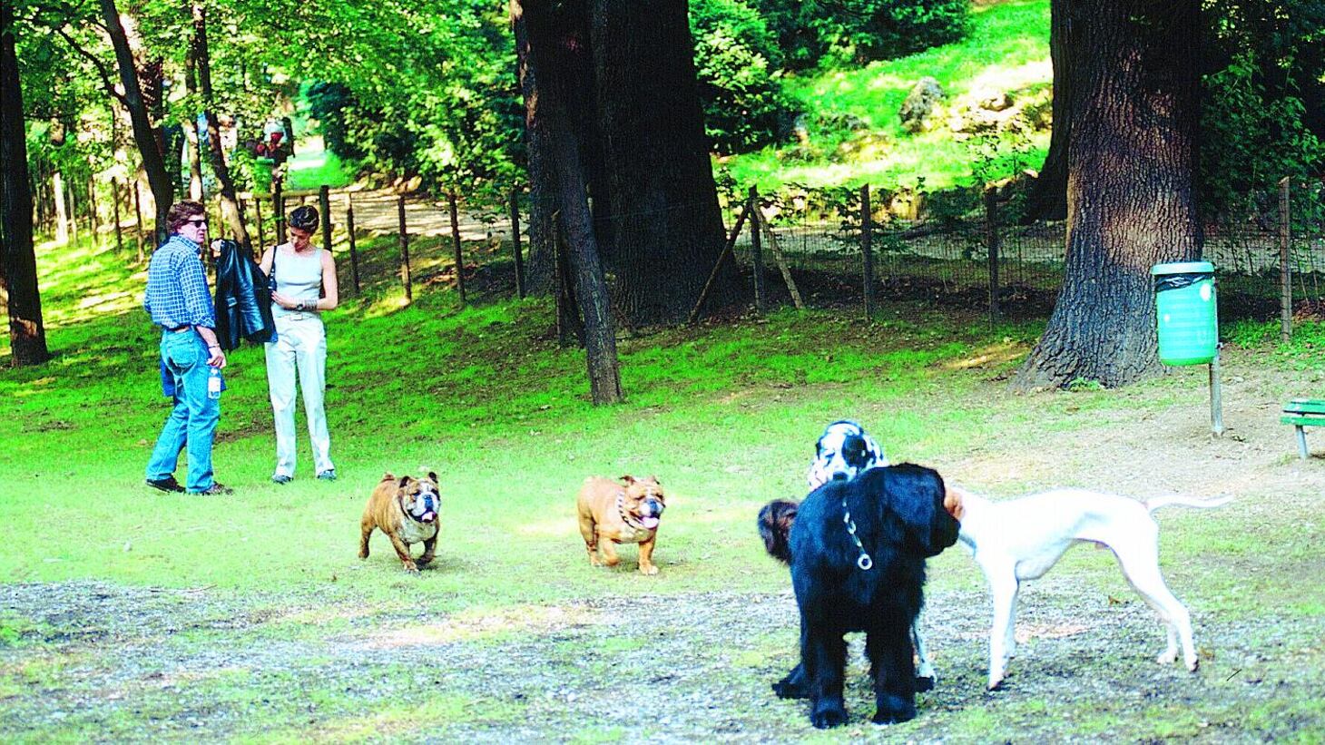 «Pronti a fare le ronde per difendere i nostri cani»