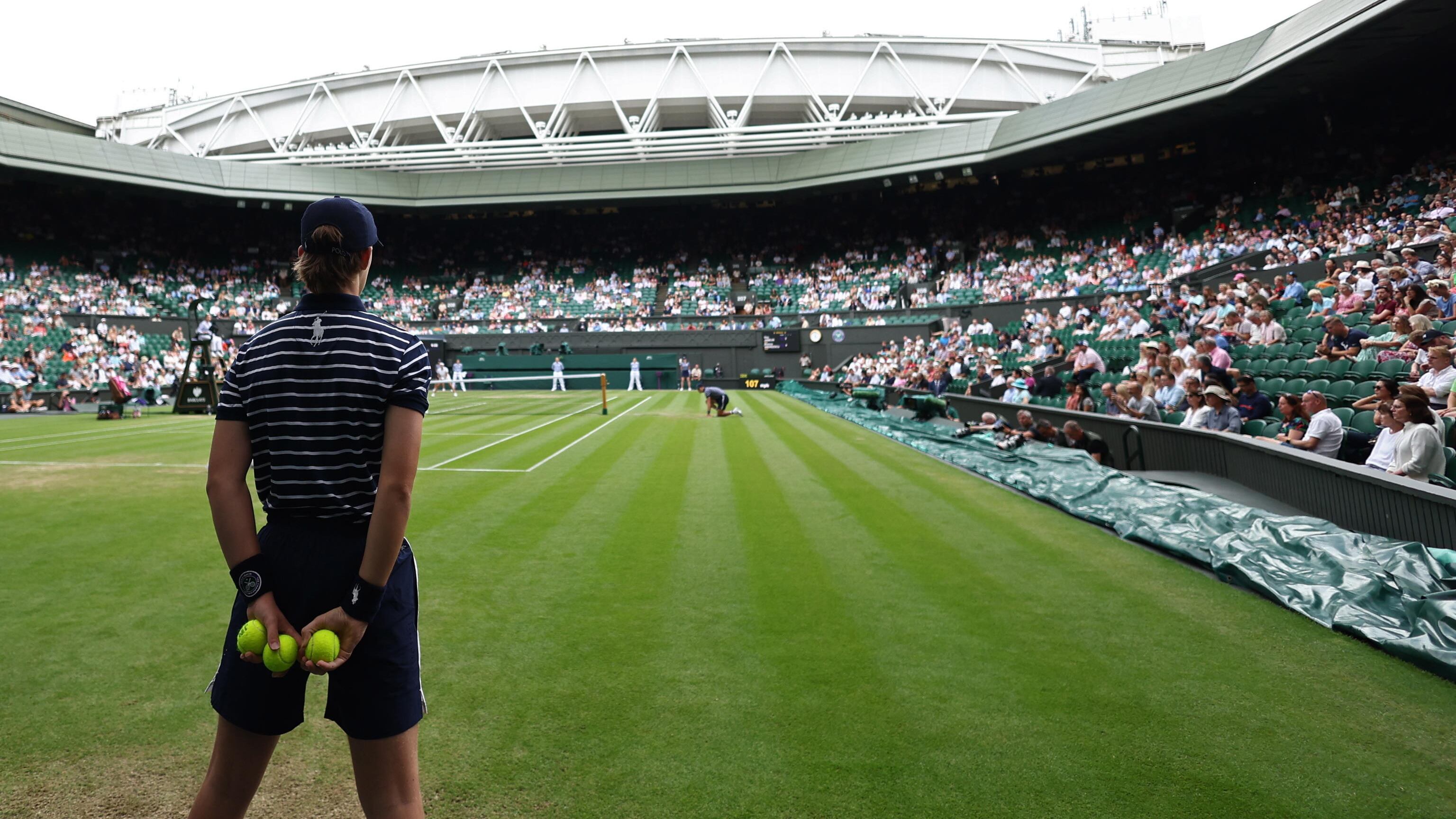 Wimbledon, ecco qual è il "segreto" della sua erba