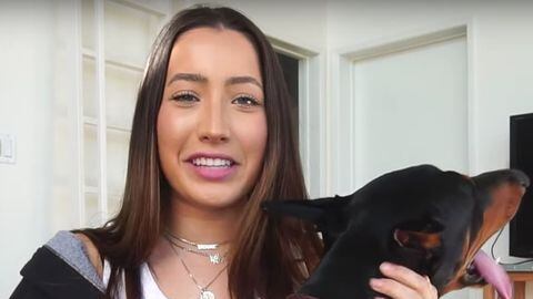 Picchia il cane: Youtuber carica video per sbaglio. Polizia indaga