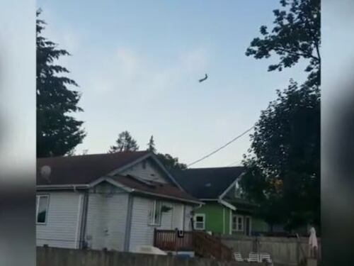 Usa, identificato il meccanico che ha rubato l'aereo. I genitori: "Siamo scioccati"