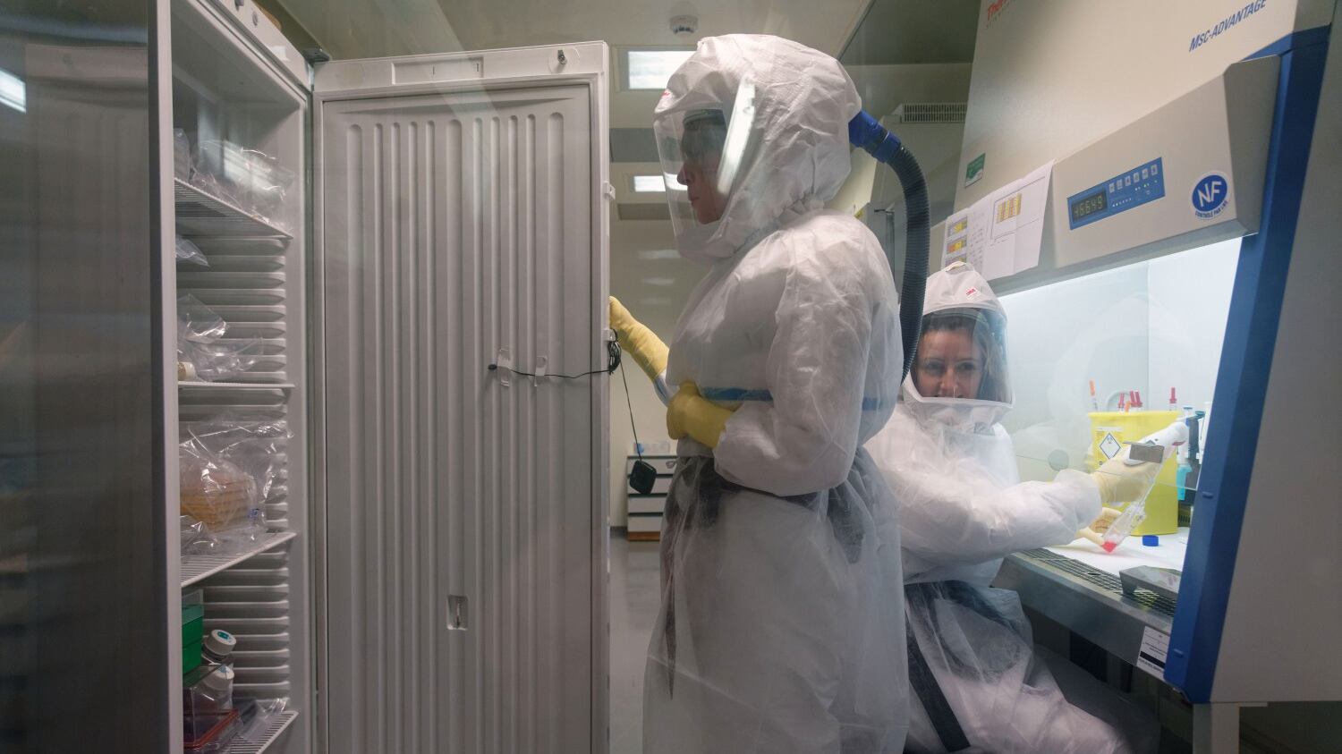 Il virus corre in Europa