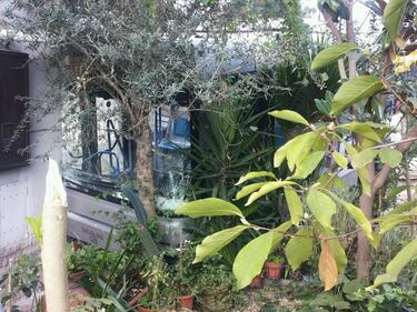 Roma, il bus finisce in casa di un malcapitato 3