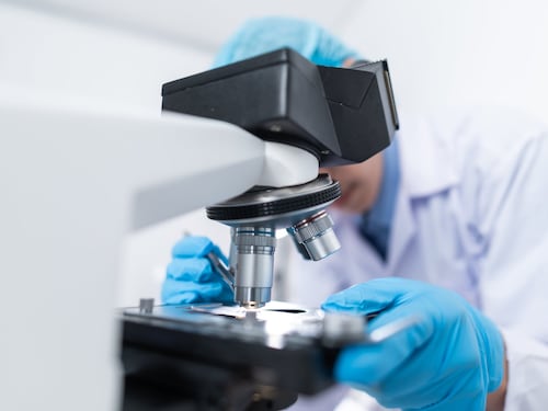 Immunoterapie, così riducono la progressione del melanoma del 25%