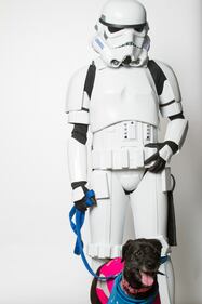 I personaggi di Star Wars per l'adozione degli animali 2