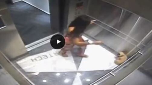 Usa, ragazza massacra il suo cane in ascensore: il video choc