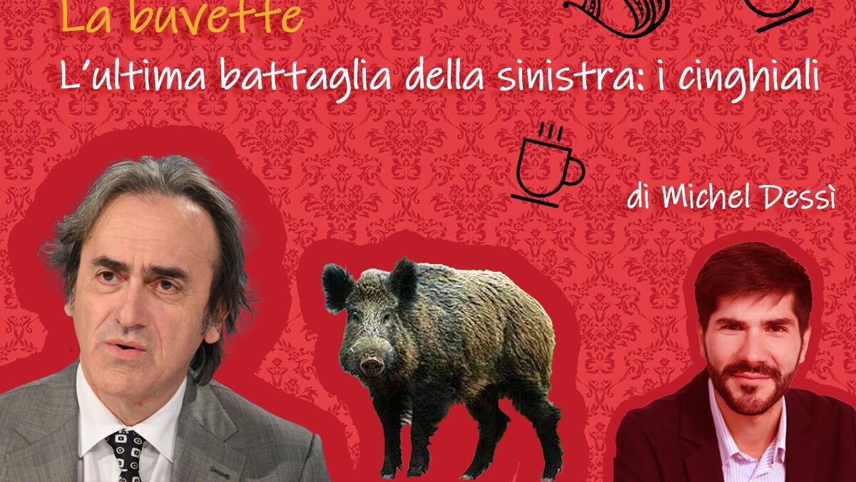 L'ultima battaglia della sinistra: i cinghiali