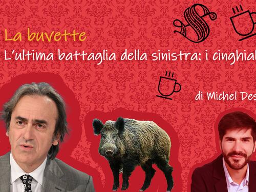 L'ultima battaglia della sinistra: i cinghiali