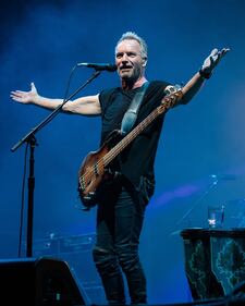 Sting dal Kaaboo Texas Music Festival di Arlington 3