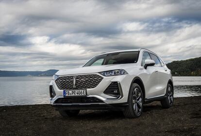 GWM WEY 03: guarda tutte le foto 13