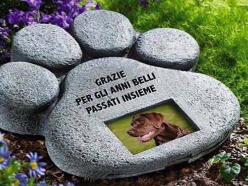 Lombardia, via libera ai cimiteri per animali da compagnia