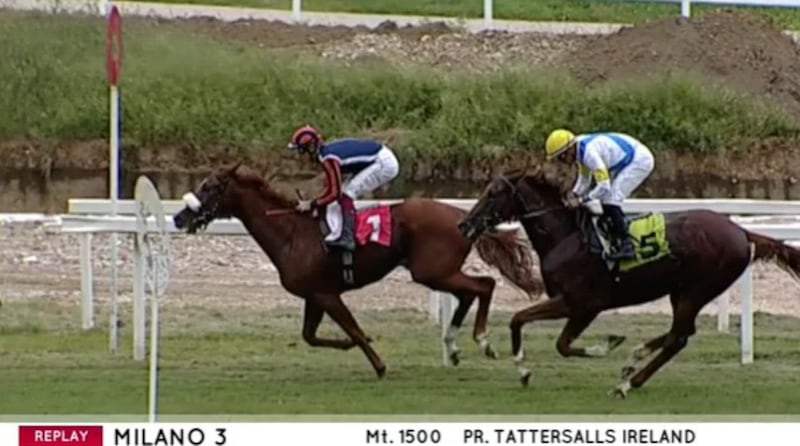 Prime Time (f.te fermo immagine Masaf)