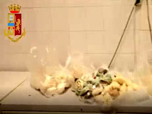 Ostiense, cibi scaduti in cucina: chiuso bar ristorante