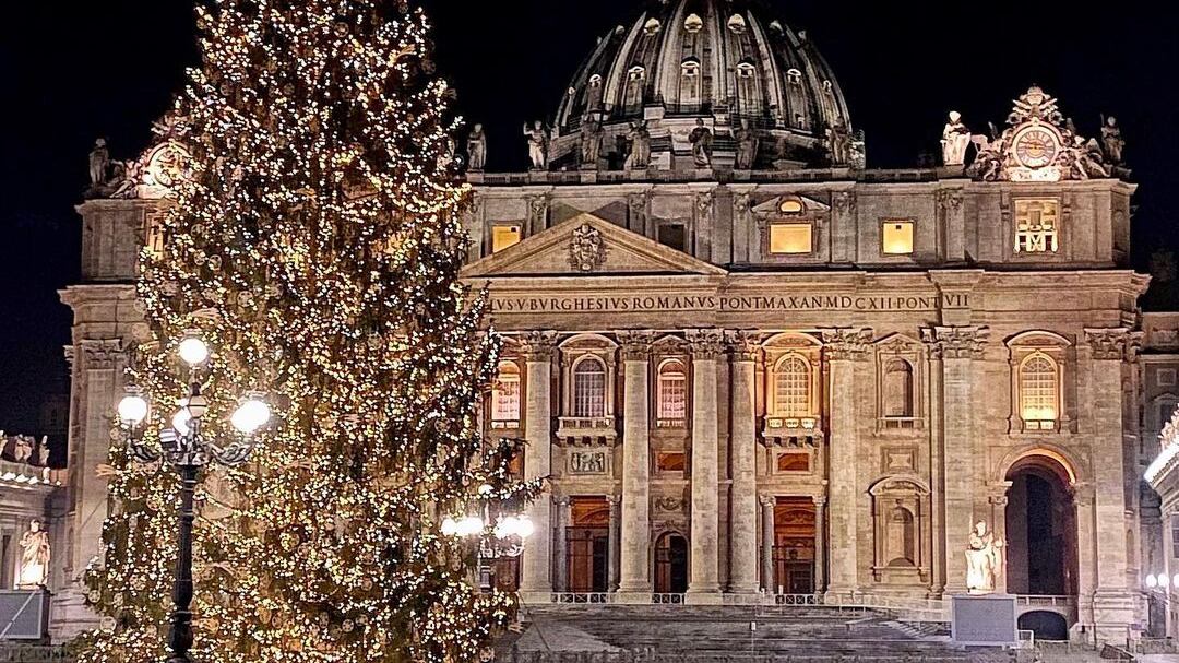 "L'abete resta qui": il Papa rischia di rimanere senza albero di Natale