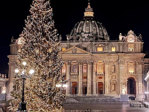 "L'abete resta qui": il Papa rischia di rimanere senza albero di Natale