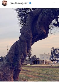Raul Bova fa acquisti in Puglia: compra una masseria con tanto di ulivi e piscina 1
