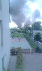 Roghi di rifiuti nel cuore di Milano 9