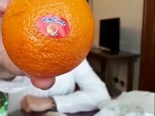 Arance egiziane per pranzo: la Camera compra prodotti stranieri