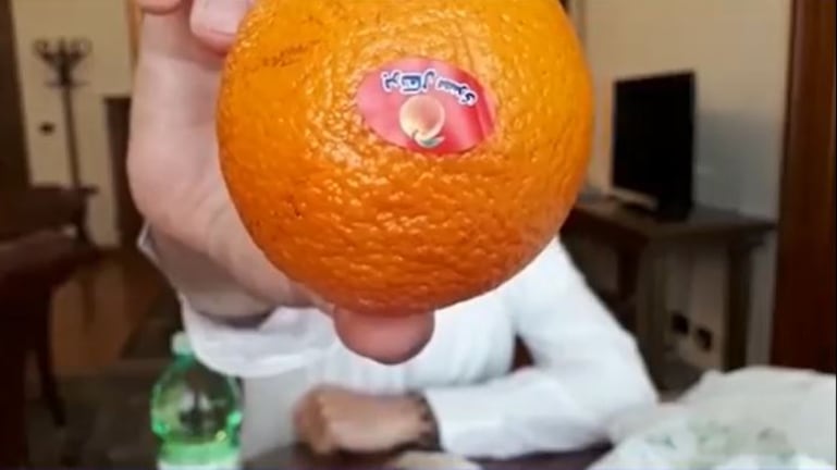 Arance egiziane per pranzo: la Camera compra prodotti stranieri