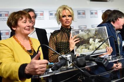 Pamela Anderson contro il foie gras 12