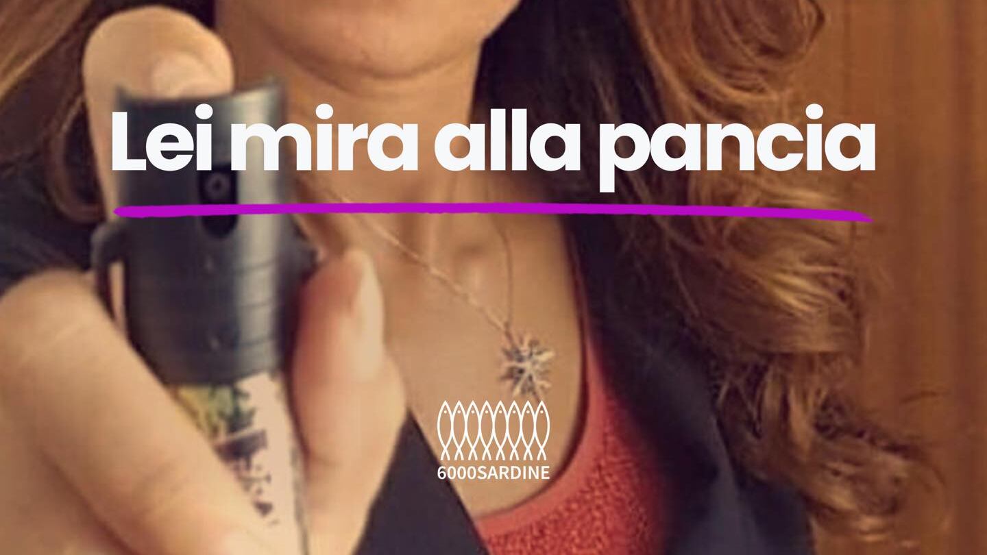 Le Sardine "avvelenano i pozzi": la raffica di offese alla Ceccardi
