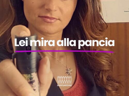 Le Sardine "avvelenano i pozzi": la raffica di offese alla Ceccardi