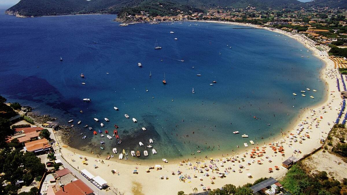 Sempre più meduse Invasione all'Elba: feriti cento bagnanti