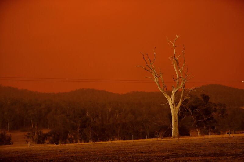 Incendi in Australia, il cielo si tinge di arancione 6