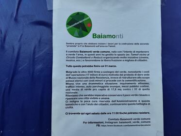 Appello al Comune per salvare gli alberi del giardino Lea Garofalo  4