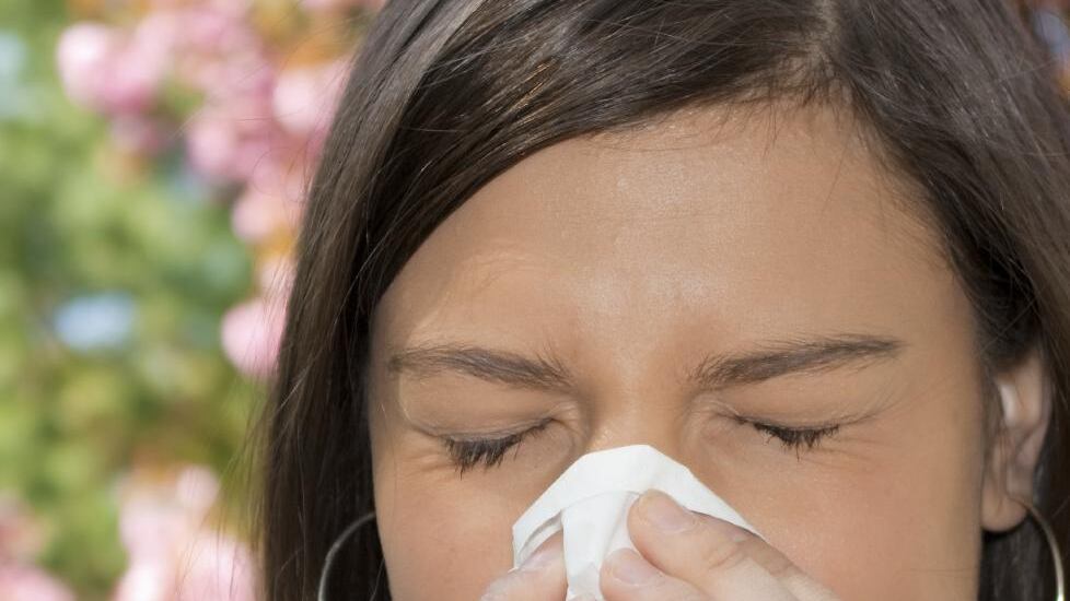 Stati Uniti, i giovani sono sempre più allergici. Più colpiti i ricchi