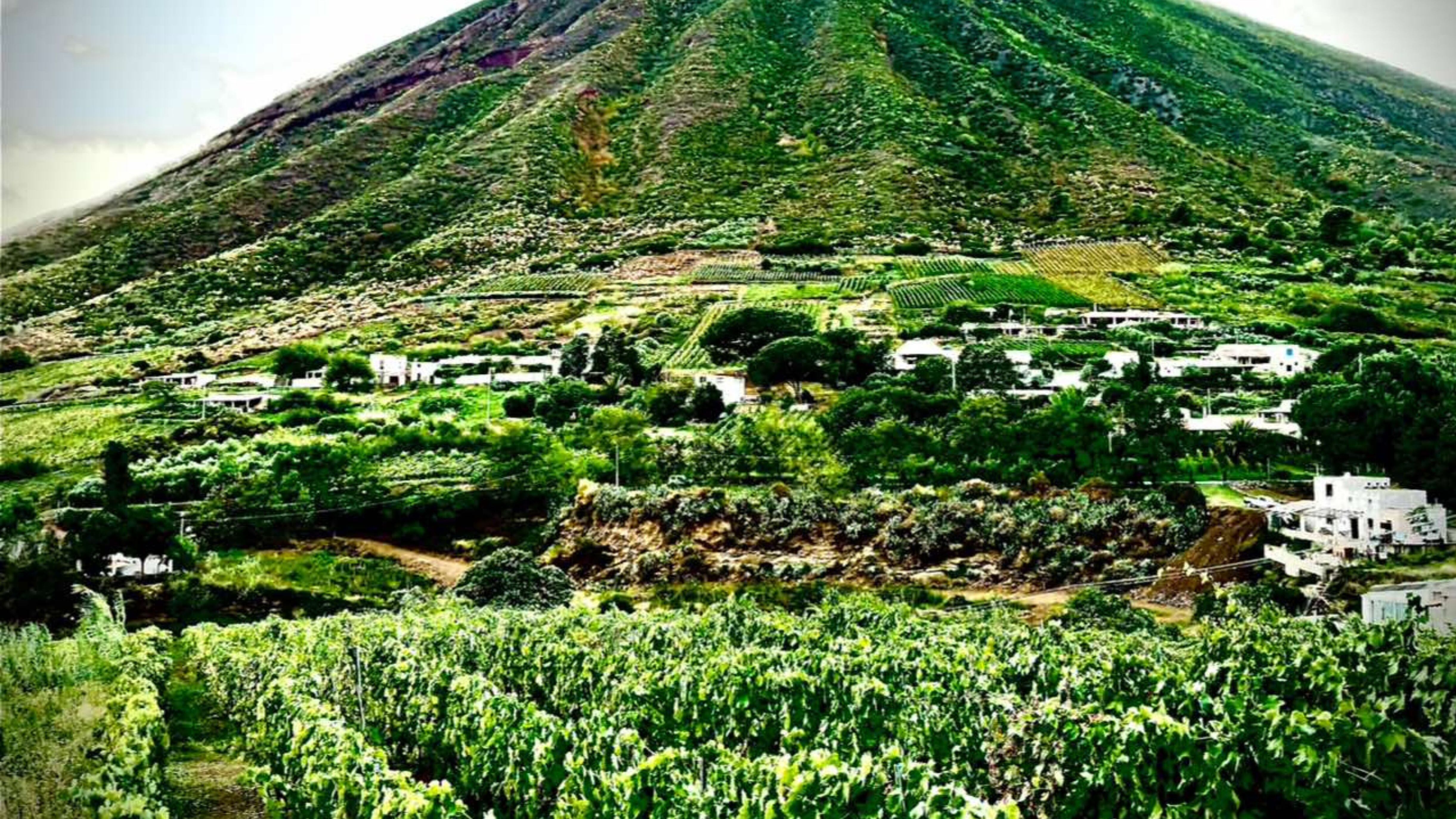 Eolia, i profumi di Salina