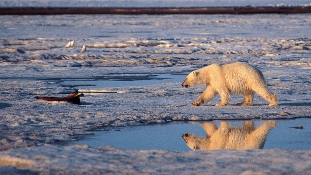 "Le temperature si alzeranno di 7 gradi centigradi. Ci sarà un game over"