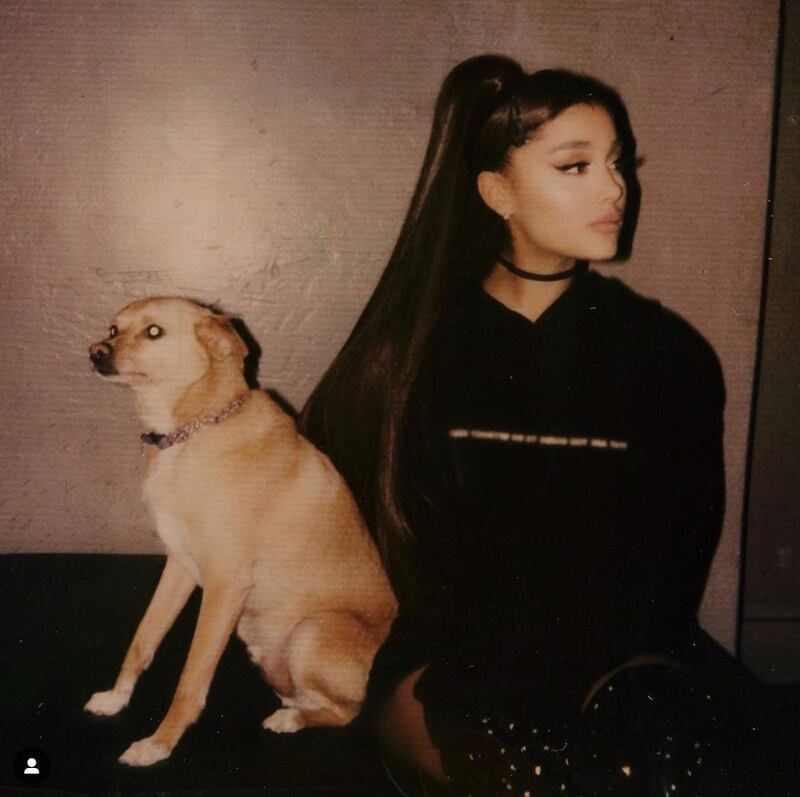 Ariana Grande sexy per il Coachella: foto 5