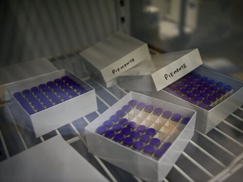 L'Italia aspetta AstraZeneca. "Il via libera entro fine anno"