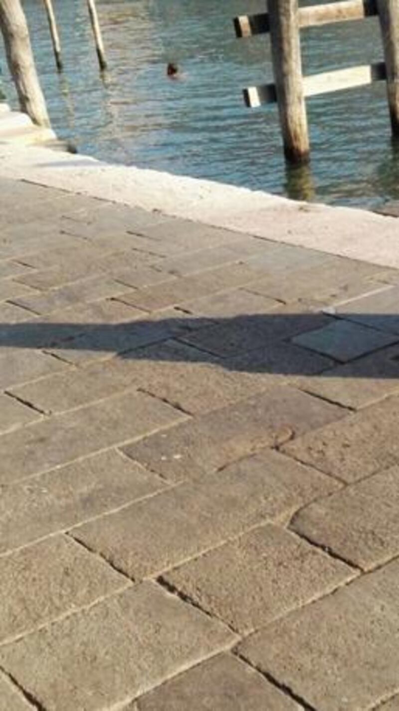 Turismo e degrado a Venezia 4