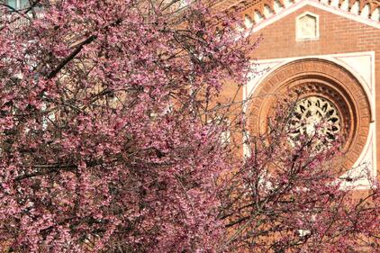 A Milano è primavera in anticipo  6