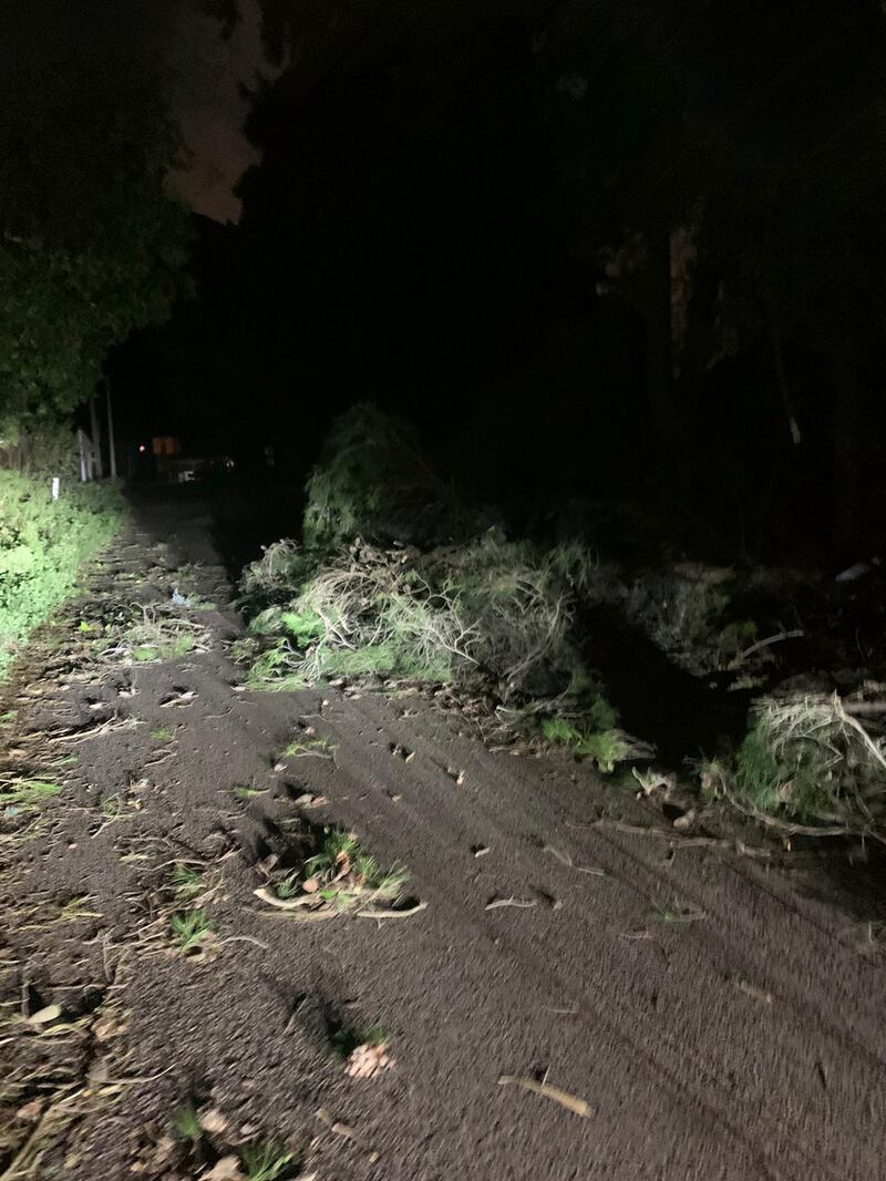 Alberi sradicati, tettoie divelte: l'incubo del vento in Sicilia 1