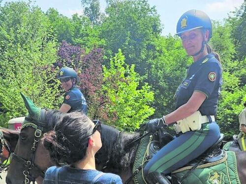 "Meno barbecue e più sicurezza con i vigili a cavallo"