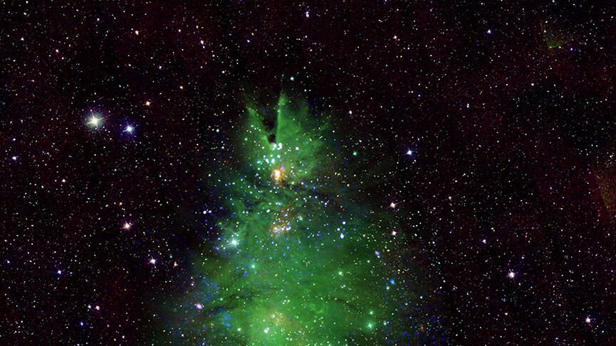 "Grappolo di alberi di Natale". Quell’immagine della Nasa che viene dallo Spazio