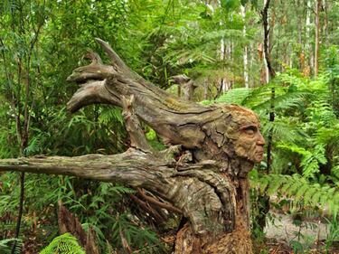 Una foresta magica tra sogno e realtà: l'opera di Bruno Torfs 8