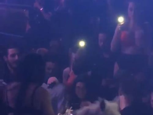 Miami, spettacolo con cavallo in un nightclub: il sindaco chiude il locale