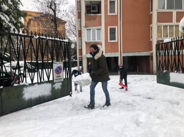 Neve, disagi a Sesto. Il sindaco Di Stefano in strada a spalare 5