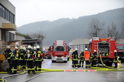 Rogo in fabbrica di disabili 8