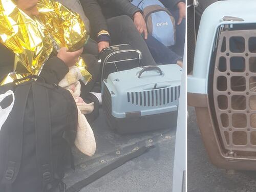 I folli sbarchi di Lampedusa: arrivano persino con il gatto
