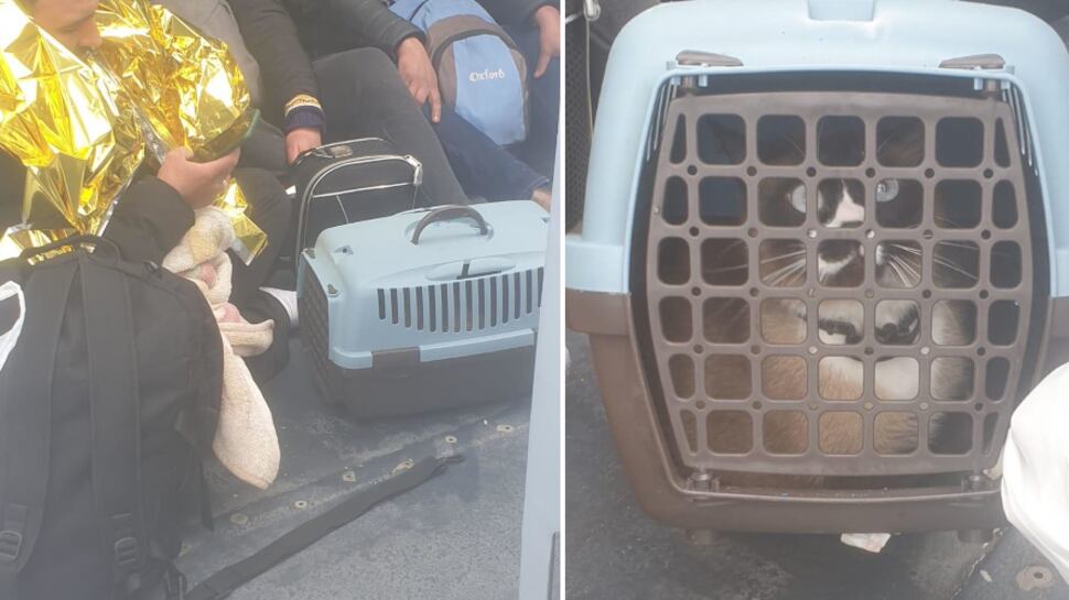 I folli sbarchi di Lampedusa: arrivano persino con il gatto