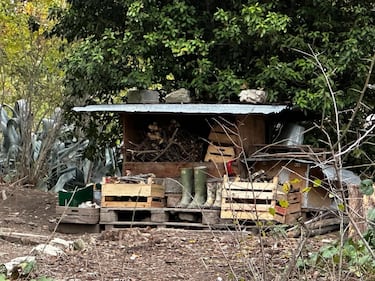 Famiglia nel bosco, le foto della casa a Palmoli 4