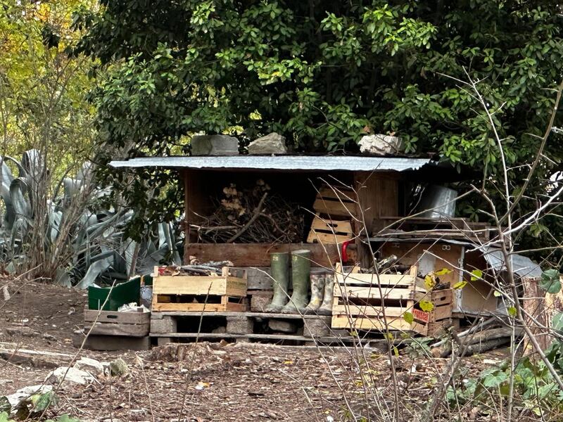 Famiglia nel bosco, le foto della casa a Palmoli 4