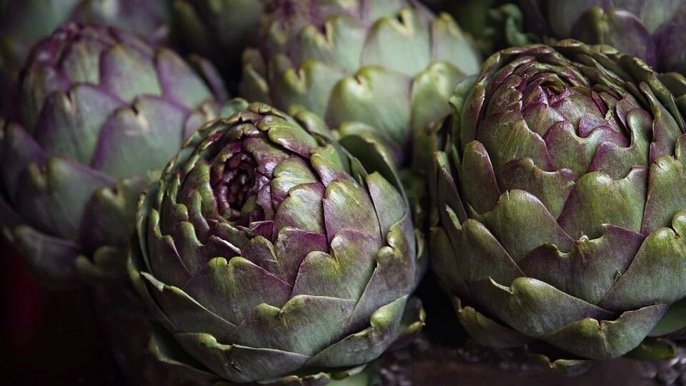 Carciofi, tutti i motivi per portarli in tavola