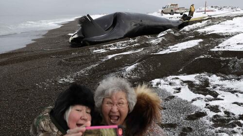 La caccia alla balena in Alaska 9